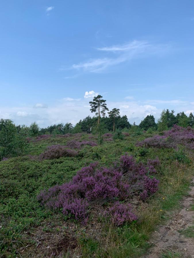 Haarles Landleven Bed and Breakfast Exteriör bild